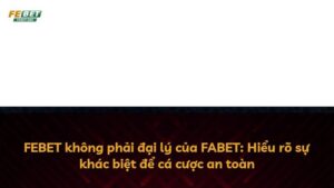 FEBET không phải đại lý của FABET: Hiểu rõ sự khác biệt để cá cược an toàn